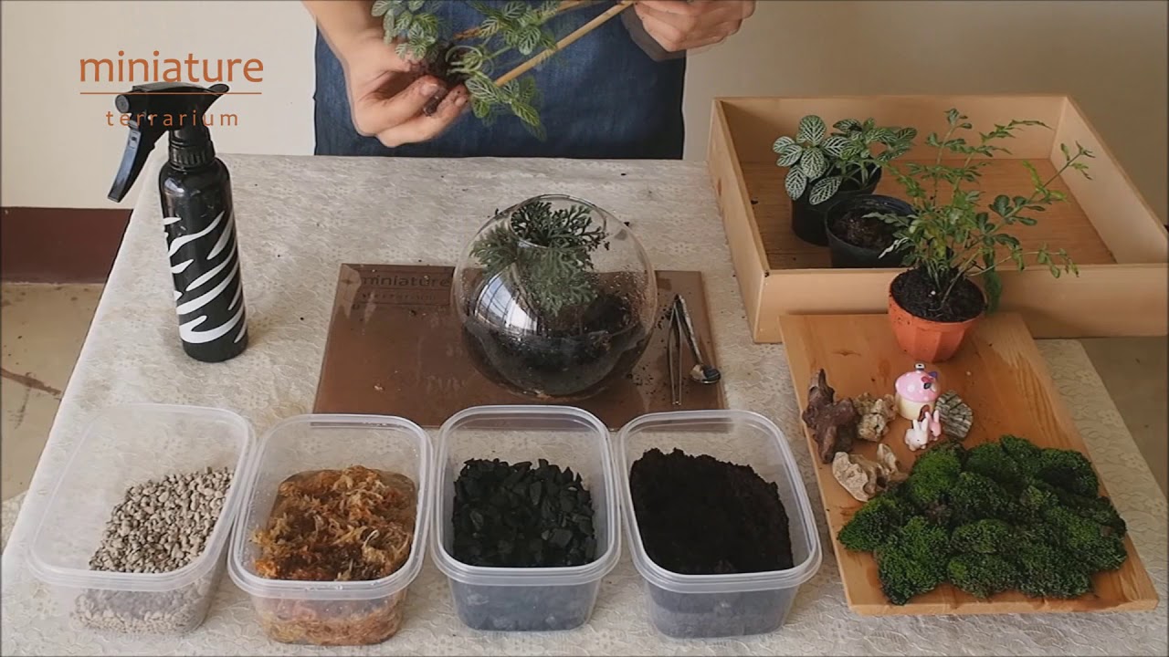 วิธีจัดสวนขวดแก้ว How to make Terrarium by miniature terrarium