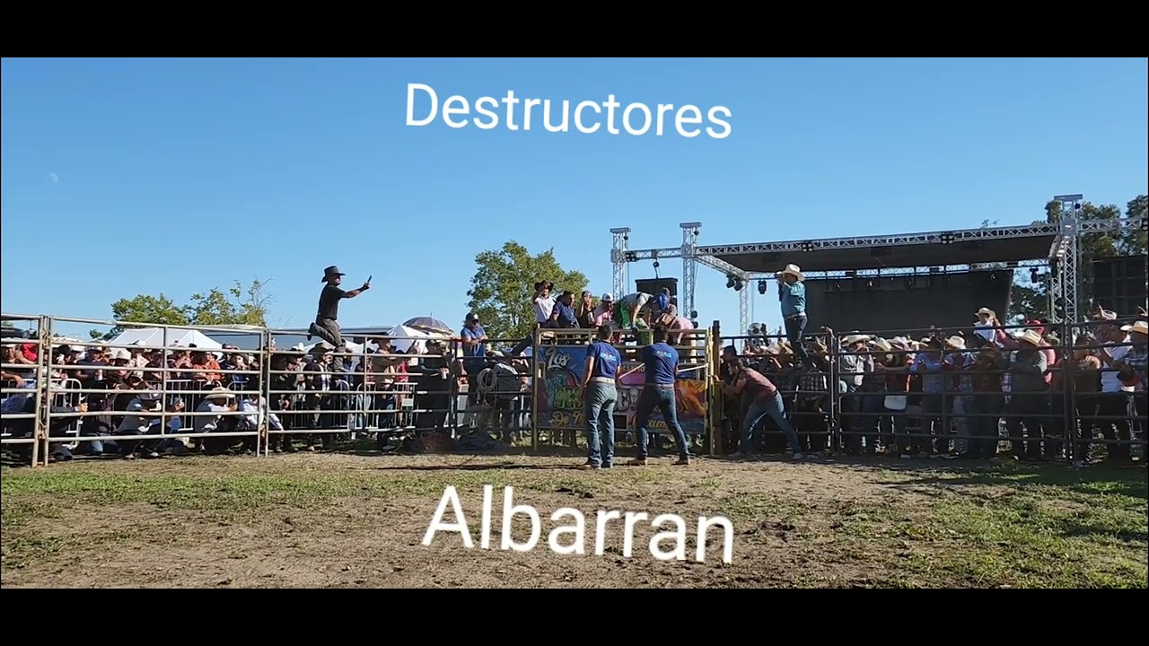 Plumas de Manzanillo con fuego en la piel de destructores en vallejo ca