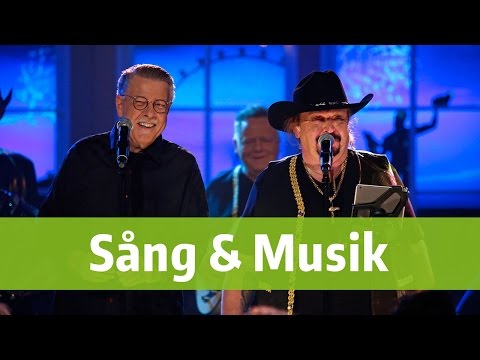 Lasse Stefanz och Mikael Wiehe - BingoLottos Nyårsbingo 2015