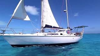 Amel Sharki Fly By - Bahamas Shallow Sailing [Panda Shorts!]