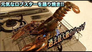 暴れん坊ロブスターを踊り焼きしたらジャンプ攻撃がハンパなかった件。。。