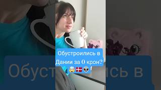 Датчане отдали всё БЕСПЛАТНО? 🤯! 🤯🇩🇰 #дания #вайле #vejle