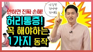 허리통증 없애는 방법| 허리에 가장 중요한 1가지 동작| 제오의 힐링가이드#6 허리통증, 허리디스크