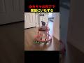 おもちゃの包丁で家族にいたずら