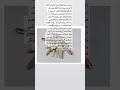تفسير حلم المفتاح في المنام