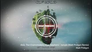 Alok, The Chainsmokers, Mae Stephens - Jungle (Matt Pridgyn Remix)