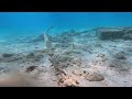 Dive With Me – Cleaning the Sea in Fuška Bay 🌊♻️