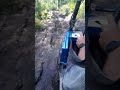 Joe's bear run