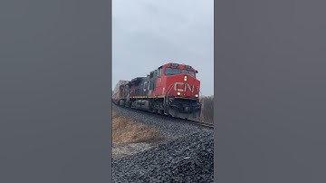 Dash 9 Duo #train #railfaning #railroad #canadiannationalrailway #cntrain #cnrailway #throwback