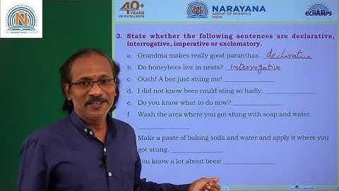 26TH SEP NORTH CLASS IV ENGLISH AMAZING ASSIGNMENT KEY