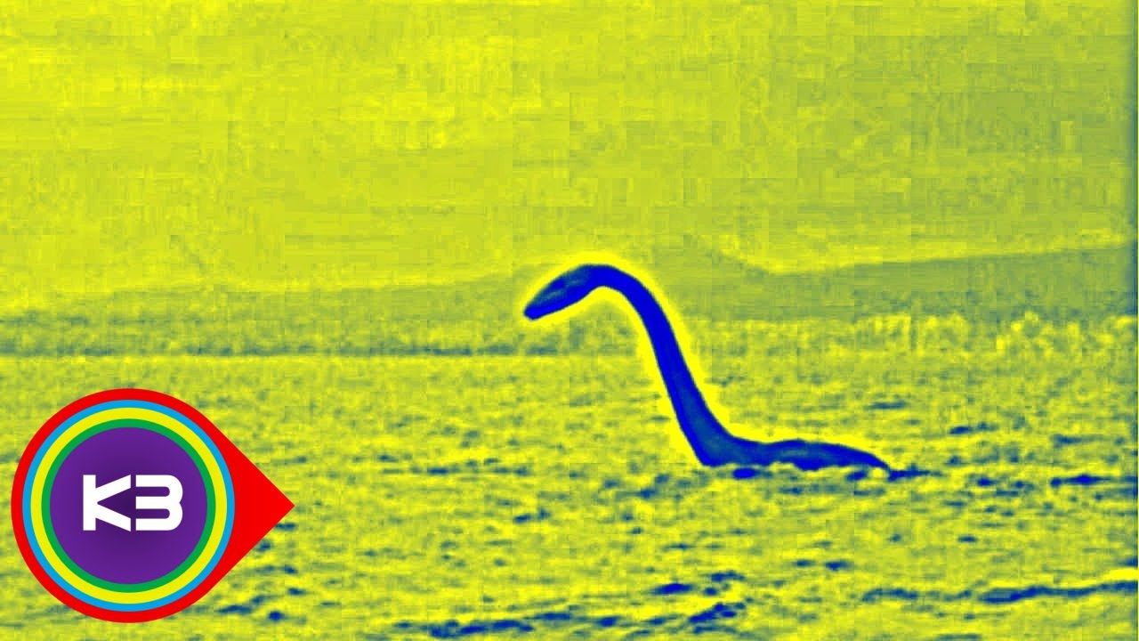 9 Scary Facts About Lake Monster The Ogopogo or Naitaka - YouTube