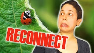 HOW TO CONNECT YOURSELF BACK TO NATURE: Quick Tips to DESTRESS & RELIEVE ANXIETY
