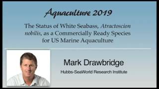 Mark Drawbridge: White Seabass, Atractoscion nobilis, Aquaculture