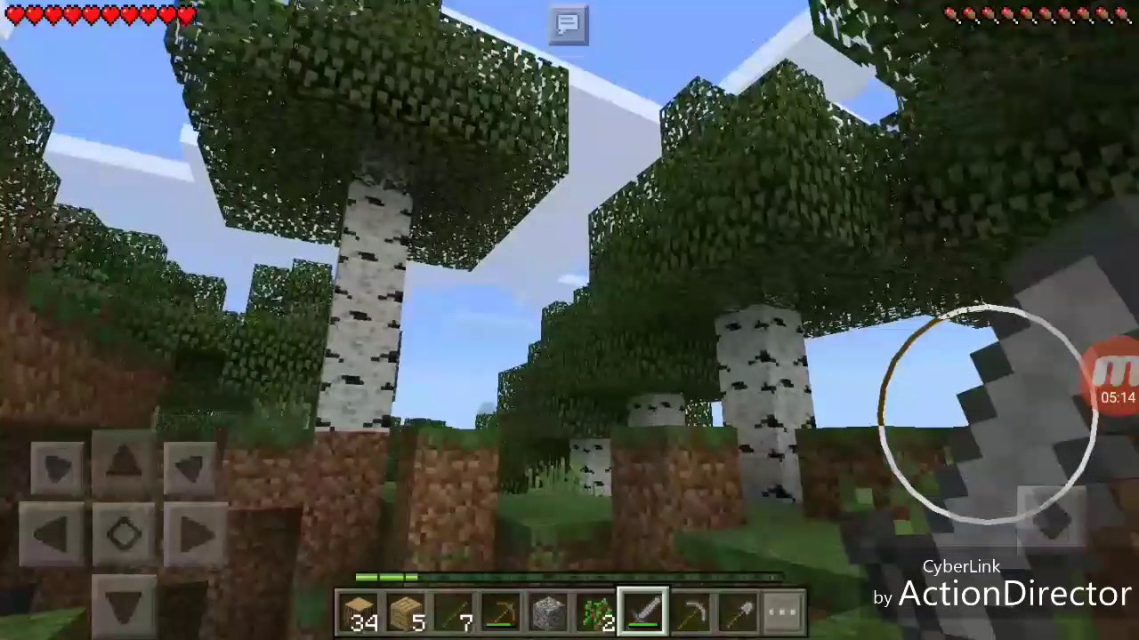 Minecraft europali#1