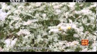 20140307 《走遍中国》 系列片《探秘新发现》（7）追溯神奇水源