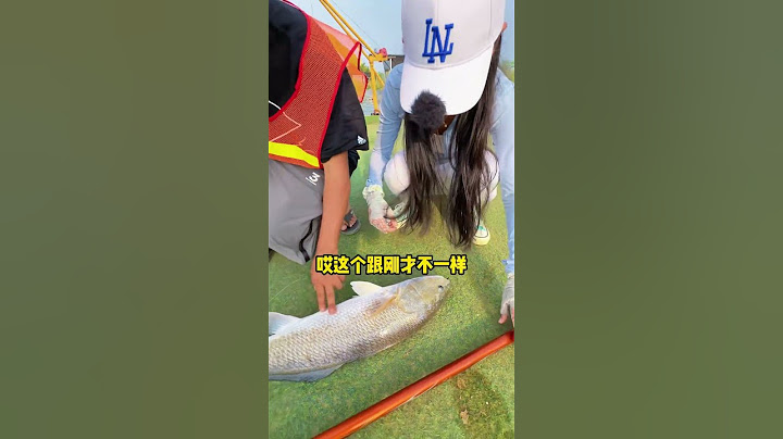 美女釣超大龍躉魚！ #釣魚 #fishing #drama #funny #shorts