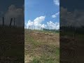 RECORDAÇÕES DA VIDA!!