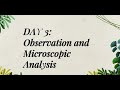 Science 8 Quarter 1 Week 2 Observing plant transport system under microscope