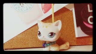 My Lps Collection 2016