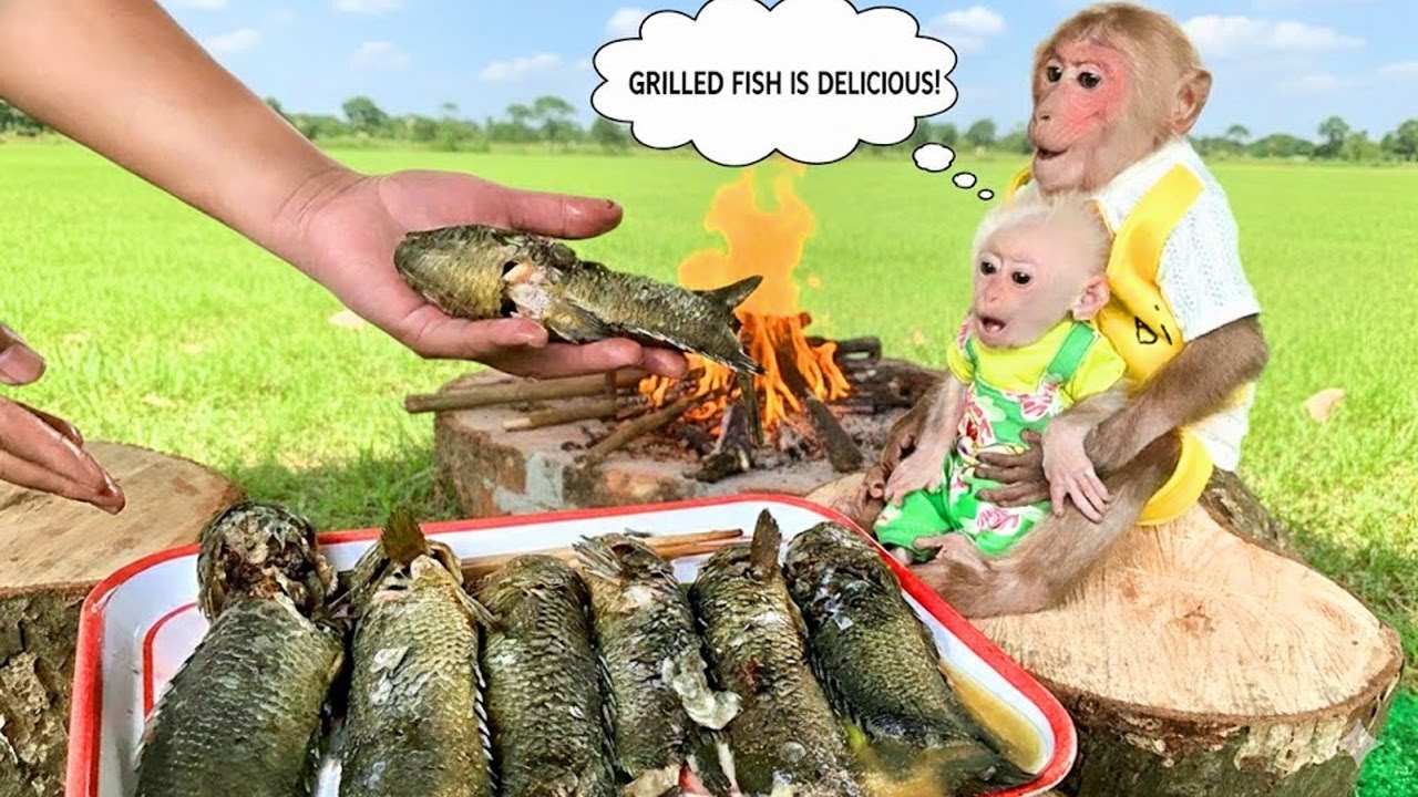 So Surprised! Bibi & LaLa Watch Dad Process Fish and Enjoy a Delicious Fish Soup