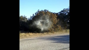 cedar trees pollen explosion Texas