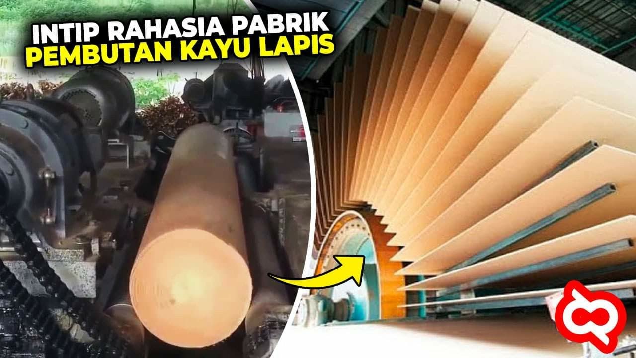 Sering Digunakan Tapi Gak Tau Cara Buatnya? Beginilah Tahapan Proses Produksi Kayu Lapis di Pabrik