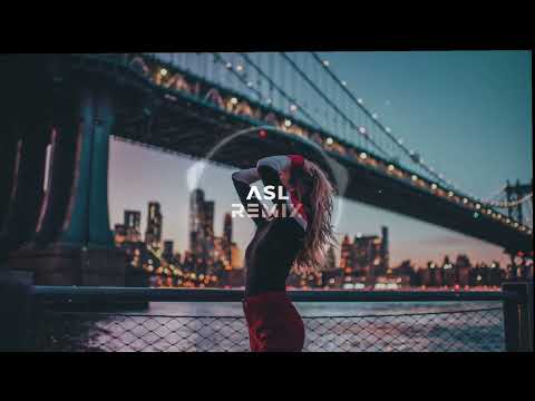 VITaLI' - Я её любил (ASL REMIX)