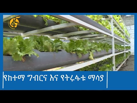 የከተማ ግብርና እና የትሩፋቱ ማሳያ