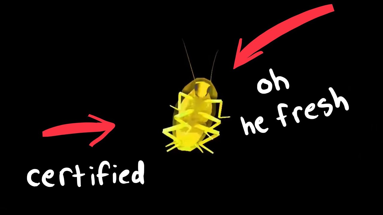 rainbow cockroach spinning to the best part of lady (you bring me up