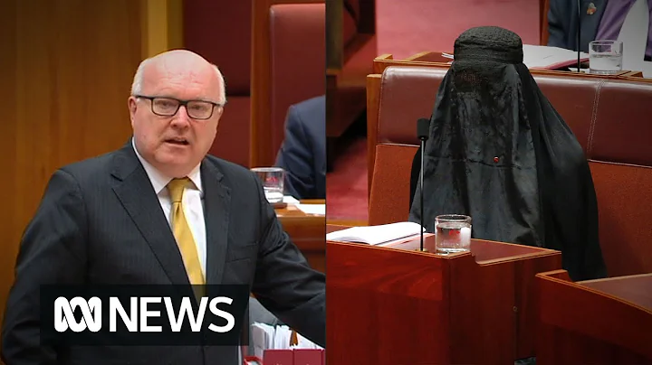 George Brandis slams Pauline Hanson for wearing a ...