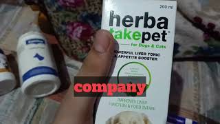 Pregnant Dog Care Guide Diet Supplements Daily Tips no1 trend parents