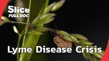 The Lyme Disease: A Silent Epidemic | FULL DOCUMENTARY