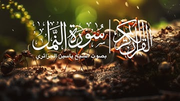 سورة النمل | بصوت ياسين الجزائري / Surah Al Kahf (Ants) | Yassine Al-Jazairi #quran