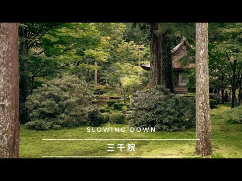 Sanzenin Temple and Japanese Garden in Kyoto | Ohara - 三千院 | A Lesson in Patience and Slowing Down