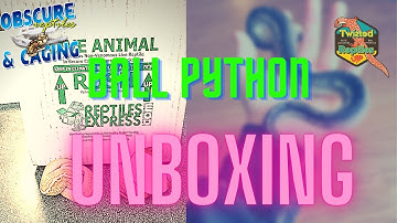 Ball Python Unboxing #1