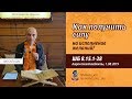 ШБ 8.15.1-28 Как получить силу на исполнение желаний? (1.08.2019) Ватсала дас