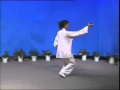 Yang style taiji quan 42 