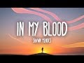 Shawn mendes  in my blood lyrics