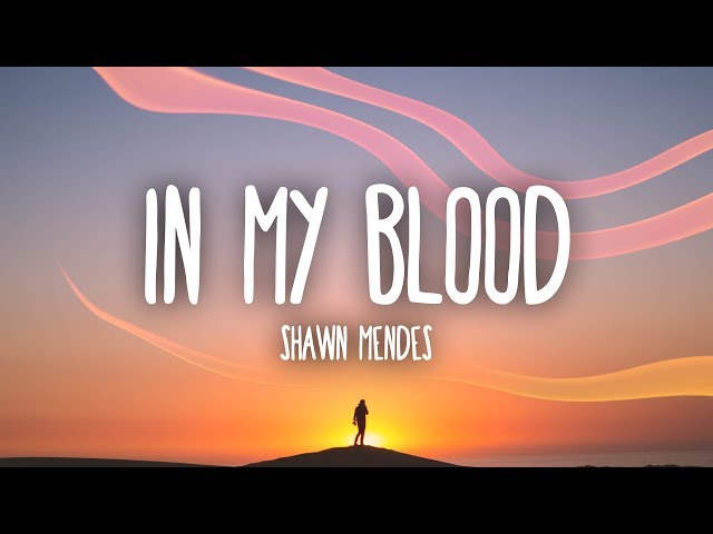 Shawn Mendes - In My Blood (Lyrics) class=