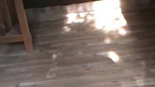 chicken coop shed into converting