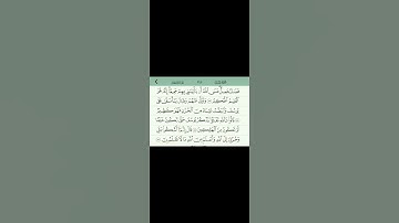 #الشيخ #اكسبلور #duet #تلاوة_خاشعة #راحة_نفسية