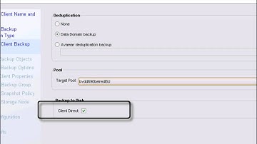 NetWorker Module for Microsoft 2.4 -- SQL and Data Domain Backup