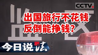 《今日说法》出国旅游还能赚钱？诱惑之下多人参与 其中究竟有什么猫腻？20230825 | CCTV今日说法官方频道