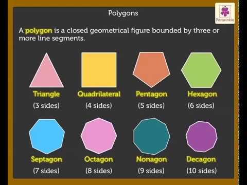 Polygons