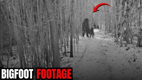 Nieuwe beelden van Bigfoot uitgelekt - de foto