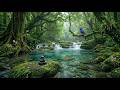 🍀 Beautiful Relaxing Music ✨ Deep Relaxation, Stress Relief & Inner Peace