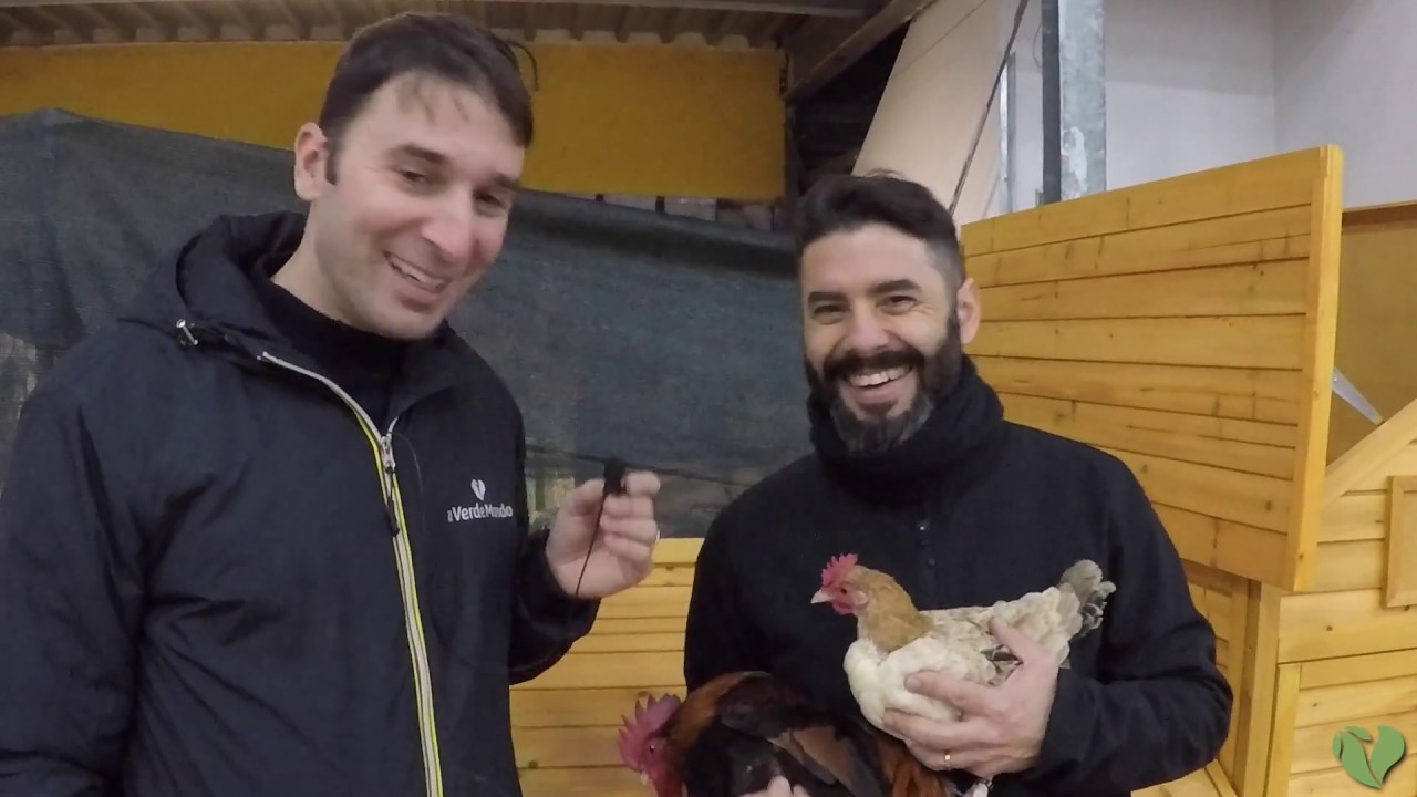 Campionati Italiani di Avicoltura FIAV | Carrara 2018 | Tutto sulla fiera