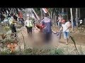 Rahmawati Tewas Terjatuh Lalu Terseret Kuda Mengamuk