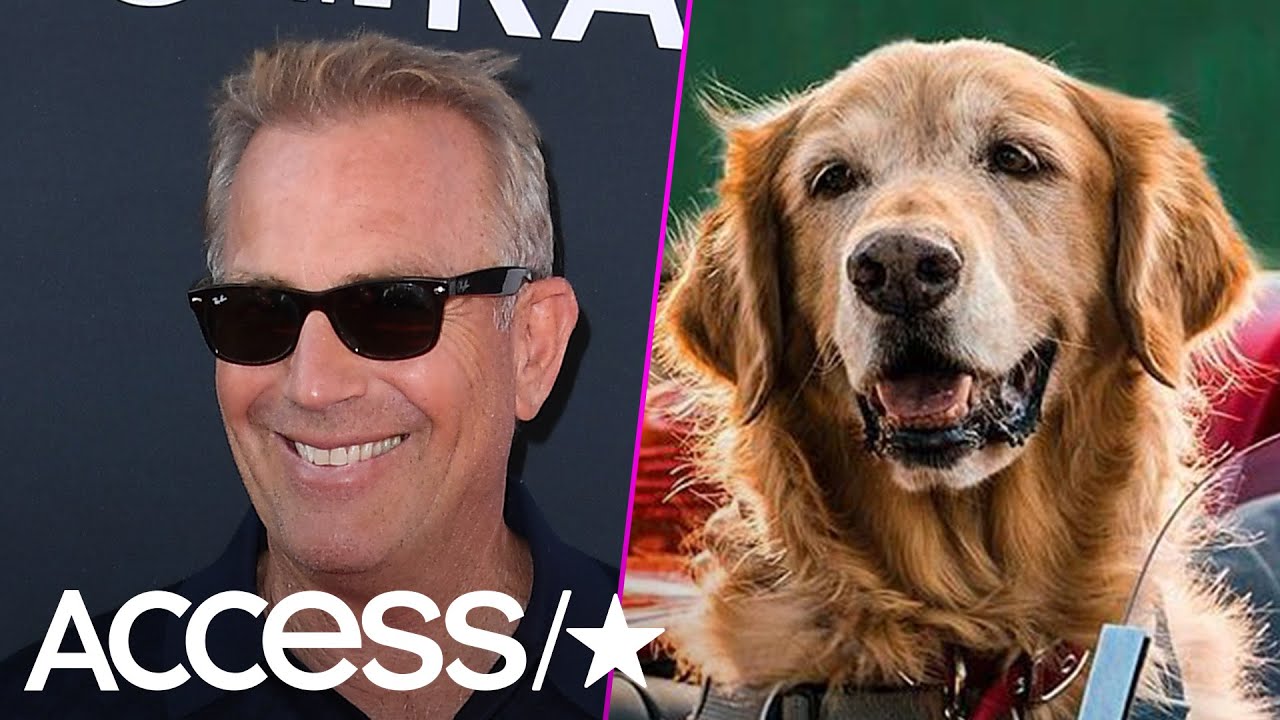 Kevin Costner S 10 Year Old Son Adorably Raves Over Him Playing A Dog Youtube
