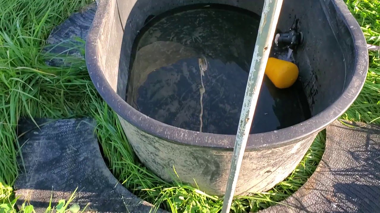 Greg Judy describing his temporary fail proof water tank with cattle mob